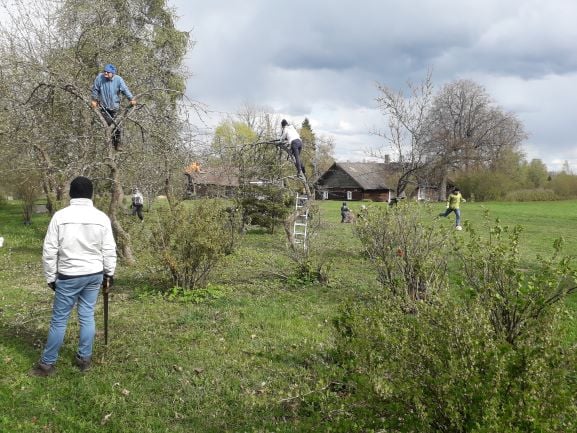 6.-7 mail EKÜ eneseabigrupi kokkusaamine ja talgud Jõgevamaal Pedjal Kuberi talus
